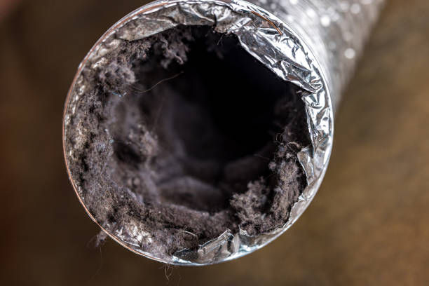 Best Emergency Air Duct Cleaning Services in USA